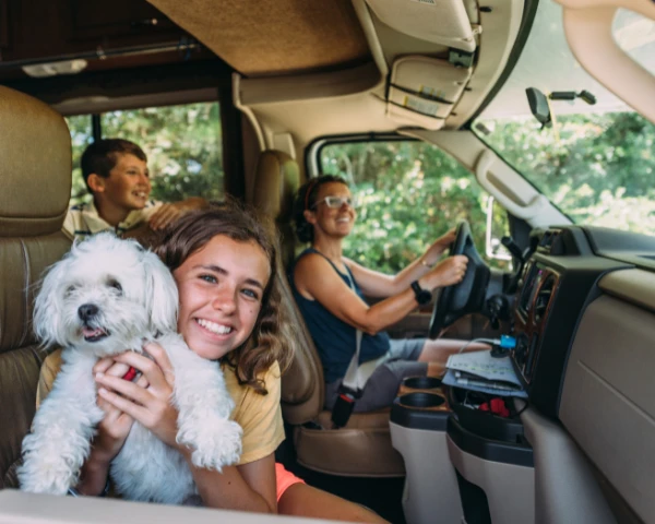 Zdrowa szansa - Emerald Waves Group